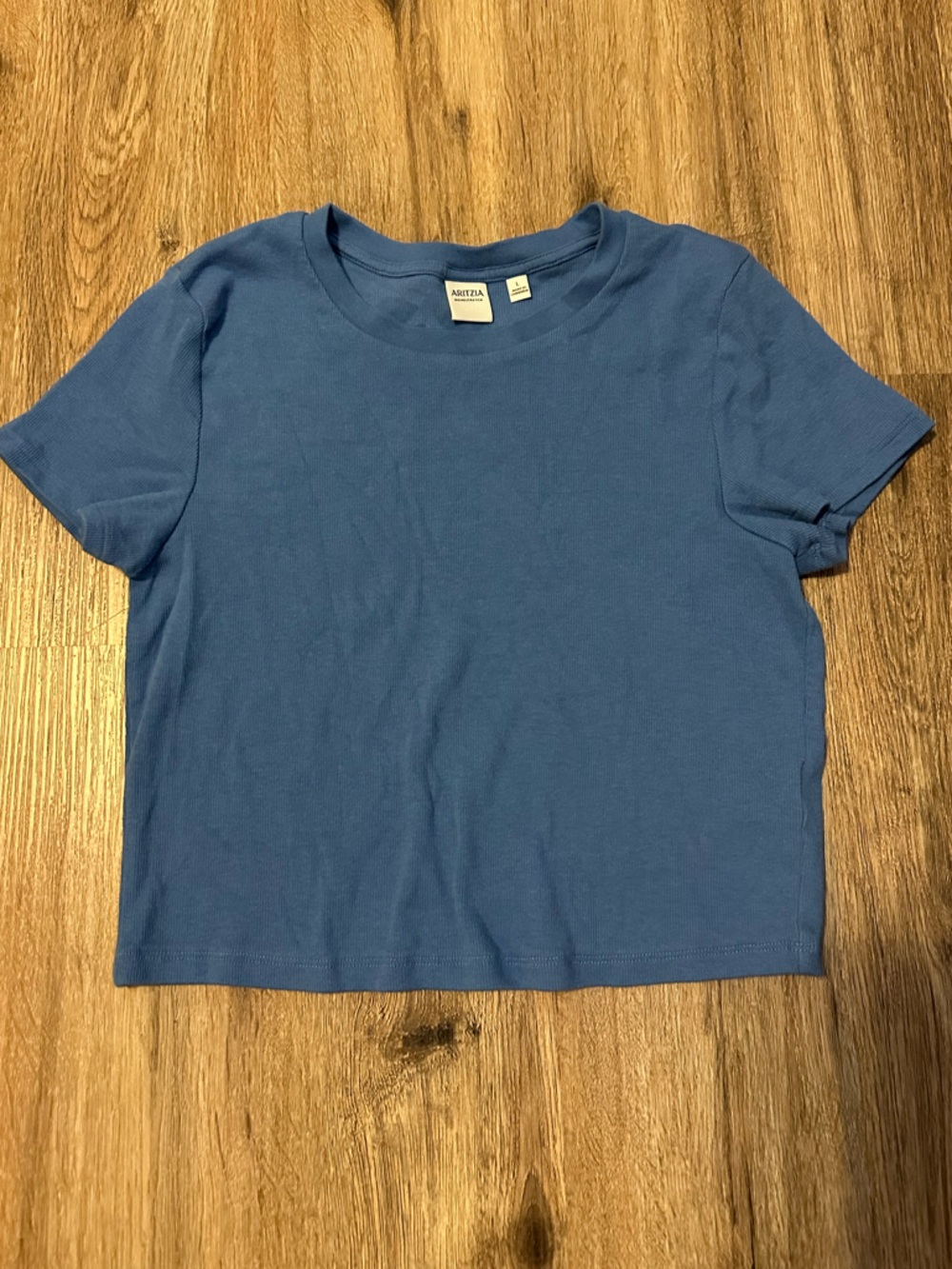 Aritzia Basic Blue Crewneck T-Shirt